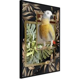 Arkiio Affisch Golden Parrot [Poster] 30x45 Poster